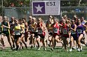 2010 Ed Sias XC495